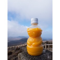 귤 품은 해녀 천혜향 천혜향주스, 20개, 330ml
