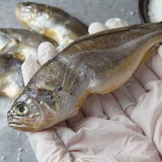 안심수산 알뜰 진굴비 1.4kg 32~40미, 1개, (0.7kg 16~20미 2봉)총1.4kg 32~40미
