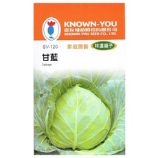 KNOWN-YOU 家庭園藝特選甘藍種子，台灣氣候適用，口感清脆鮮甜，輕鬆種植, 1個