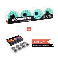 스케이트보드 흡수 롱보드부품 댐핑 휠 전동보드 전동바퀴 안전용품 충격 세트 바퀴 제품, 13. 흰색+파랑 70mm 프로 베어링