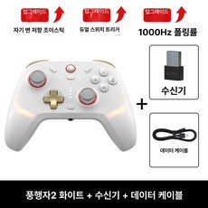 스위치 트리거 폴링 스위치컨트롤러 무선컨트롤러, 1개, 풍행자2 화이트