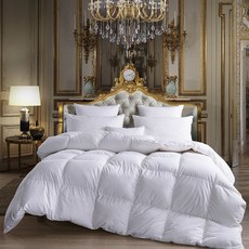 Montheria 구스이불 쇄온 거위털이불 사계절구스이불 C395-216, 스타일2