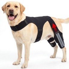 BEOZINZ Dog Knee Brace for Back Leg Hind ACL Support Adjustable Double with Stabilizers Helps Tor