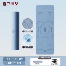 항균 요가 두꺼운 미끄럼방지 충격흡수 홈트 운동 매트, 1개, 더스티블루 185x61cm, 6mm
