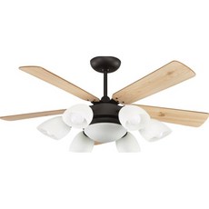 dc 吊扇 60吋柚木黑 變頻吊扇 6段風速 夜燈 遙控 台灣吊扇, 原木黑