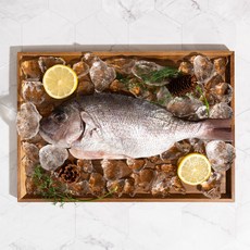 해풍건조 국내산 반건조 생선 참돔 마른생선 농어 제수용생선 활어사용, 1개, 반건조참돔(35cm이상)