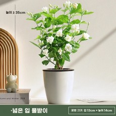주방 미닫이수납장 부엌장 장식장 진열장 그릇 정리함 흰색 이중단 120x60x30 전체수납, 화분 포함, 넓은 입구 물 흡수 레진