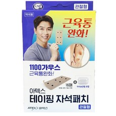 아텍스 테이핑 자석패치 관절형 자석보관함 포함, 16매입, 1개