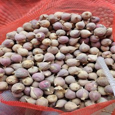 주아씨마늘 주아통마늘 한지형 의성씨마늘 1kg, 1개, 주아통마늘 4번 1kg 800-1000개
