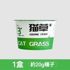 懶人泡麵貓草 水培貓草 貓草種子 貓草盆栽 小麥草種植 貓咪零食 貓咪排毛, 1個, 貓草水培盒【1盒】