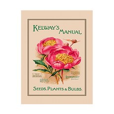 [포트메리온 매장] 울스터위버스 티타올 RHS Kelway's Manual Tea Towel, 아이보리, 1개