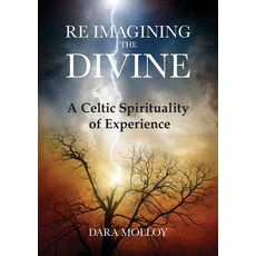 (영문도서) Reimagining The Divine: A Celtic Spirituality of Experience Paperback, Aisling Publications, English, 9780953479221