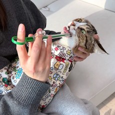 울트라웨이브 고양이 할큄방지 발톱깍이 요술접착담요 포대기 부리또냥, 1개, 옐로우