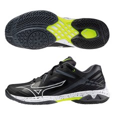 Mizuno 4E超寬楦 WAVE CLAW 3 羽毛球鞋 71GA244440