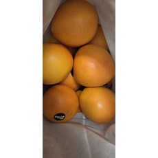 레드자몽 신선도 신선식품 과일 국내산 자연산 특대과 350g 5과내외, 1개, 15kg