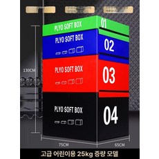 점핑박스 4단 소프트 플라이오 박스 점프 트레이닝 헬스 홈트, 프리미엄중량 25kg 클래식