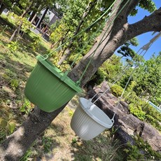 걸이형 플라스틱 행잉 화분 2컬러, 1개, 화이트