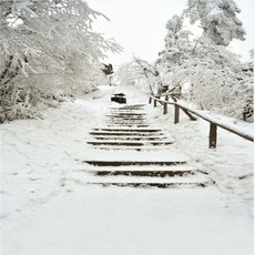 스튜디오배경지 유튜브 설산 설경 촬영 프레임, 1.5x2m, 1개, 형광블루그린