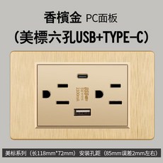新品 桃園出貨 多孔立式插排 新款帶雙usb typec麵闆黑色臺灣電源墻壁充電插座, PC拉絲金色usbA+C2.1A, 1個