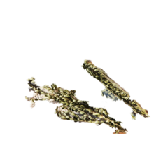 極度花燥 乾燥金柳葉, 乾燥金柳葉,一份約1 ~ 3枝,一份不嫌少, 1個