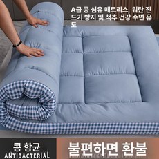 토퍼 매트리스 허리 지지 침대 손님용 수면 매트 단단한, 1cm, 블루