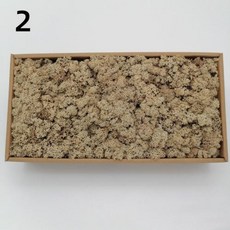 DIY 인공 녹색 식물 영원한 집 거실 정원 미니어처 가짜 잔디 200g, 2)10g, 2