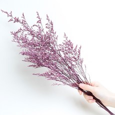 화연양화 프리저브드플라워 미스티블루 6가지색 드라이플라워 시들지않는생화, 04 오키드