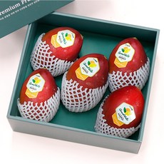 프리미엄 페루 애플망고 달콤한 망고 선물세트, 1박스, 애플망고 2.5kg내외 (5과)