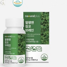 부모님효도선물 영양제 3개월분 징코 기억력개선 효도용 고함량플라보놀 선물용