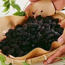 새콤달콤한 최상급 햇오디 1kg 2kg 4kg, 햇오디특품1kg