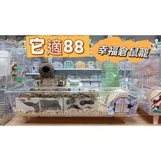 高雄現貨大空間 好清理 【倉鼠星球】倉鼠豪宅它適88、它適75水晶籠MAX全透明倉鼠籠刺蝟籠鼠籠寵物籠觀察箱, 1個, 它適88有木腳，寄新竹貨運配件另外下單
