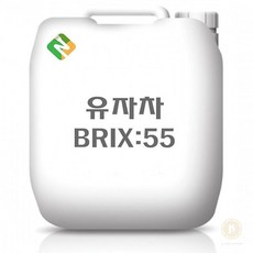 스토어-다유 과일추출액 20kg 유자차, 1
