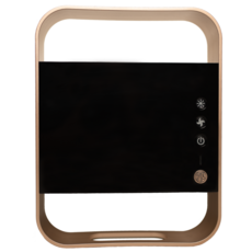 淨霸 乾坤圈空氣清淨機 主動式空氣淨化器 除二手菸/三手菸 除黴菌/霉味 WETOP C300, C300 pro