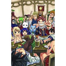 (영문도서) Fairy Tail Manga Box Set 1 Paperback, Kodansha Comics, English, 9781632368850