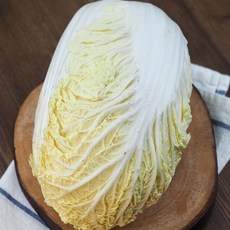 늘바른 국산 친환경 무농약 쌈배추600g 2봉, 2개, 600g