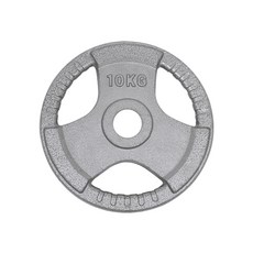 이고진 클럽용 주물 바벨 원판 10kg 2개 51D 역기 운동 웨이트, 실버