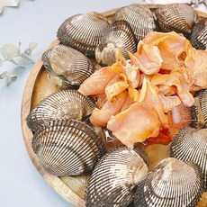 국내산 통영 피조개회 140g 채취, 1개