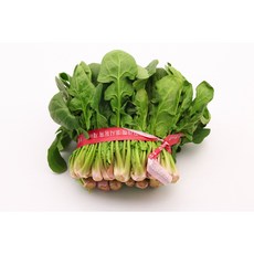 2026 포항초 시금치 보물초 남해초 섬초 봄나물, 350g, 1개