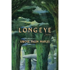 (外文書)Long Eye Paperback, Hub City Press, English