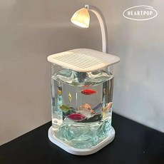 하트팝 미니 수족관 작은 어항 세트 마리모 구피 베타 새우 키우기 물멍, 화이트, 1개