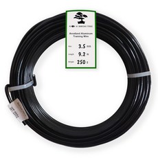 양극 산화 알루미늄 3.0mm 분재 트레이닝 와이어 250g 대형 롤(40피트) - 사이즈와 색상 선택(3.0mm 검은색), Black, 3/5 mm, Black