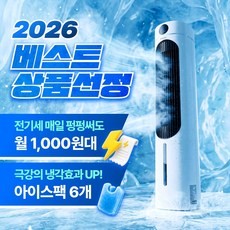 대우 저소음 이동식 가정용 냉풍기