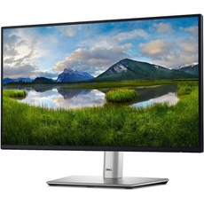 Dell 22 모니터 P2225H