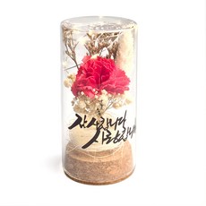 카네이션 프리저브드 LED 미니 무드등 유리돔, 1개, 레드