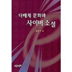 다매체 문화와 사이버 소설, 푸른사상, 최병우 저