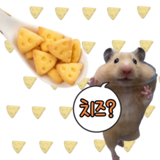 (best) 햄스터 치즈 간식 이갈이 쿠키, 1개, 8g
