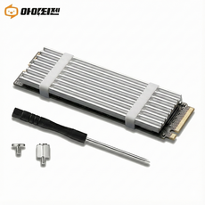 M.2 SSD 방열판 NVME 히트싱크 히트파이프 기본형 P201, 실버