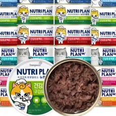 동원 뉴트리플랜 대용량 고양이캔, 24개, 160g, 구강&면역