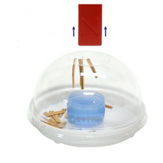 초등 저학년 과학교실 자기력 놀이체험 빵끈 모으기 투명돔 만들기 과학의날 늘봄교실