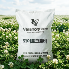 크로바(화이트)1kg 야생화 씨앗 종자, 1개